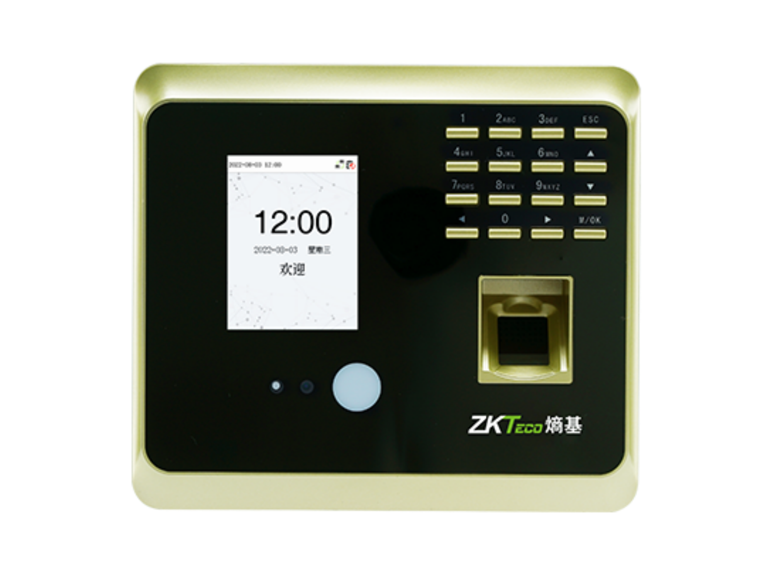 可見(jiàn)光面部指紋考勤終端DF203